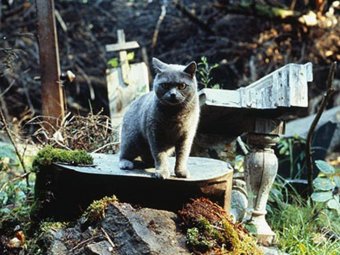Кадр из фильма «Кладбище домашних животных» (1989).